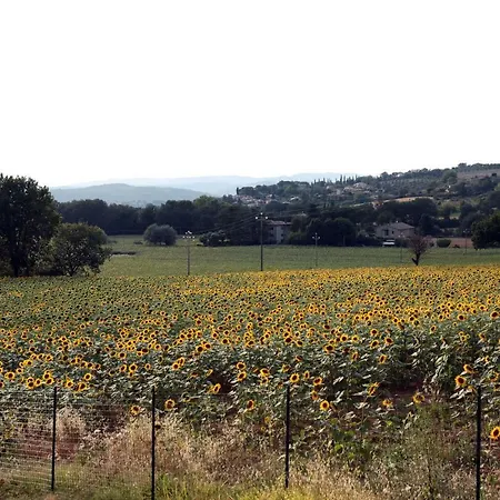 Apartamento Il Casolare House