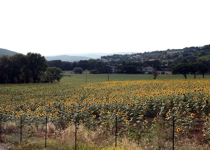 Apartamento Il Casolare House